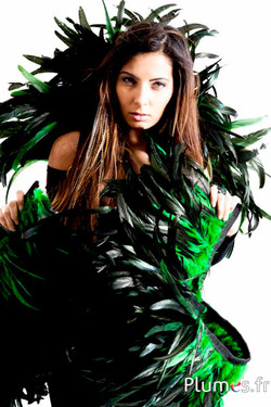 Collo gallo frusta- lungo. piume 20-25 cm - nero-verde